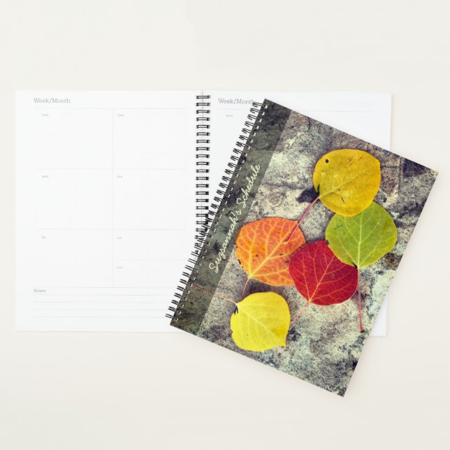 Colourful Autumn Aspen Leaves Photo Personalized Planner (Display)
