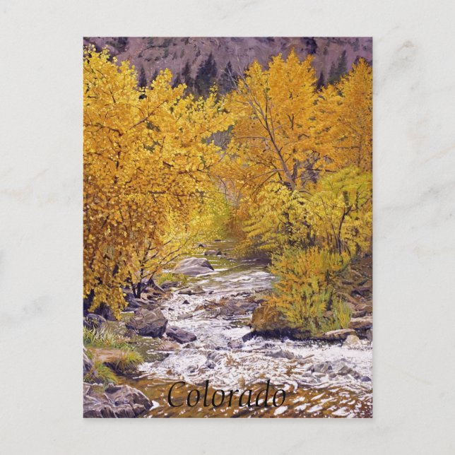 Colourful Autumn Aspen Trees in Morrison Colorado Postcard (Front)