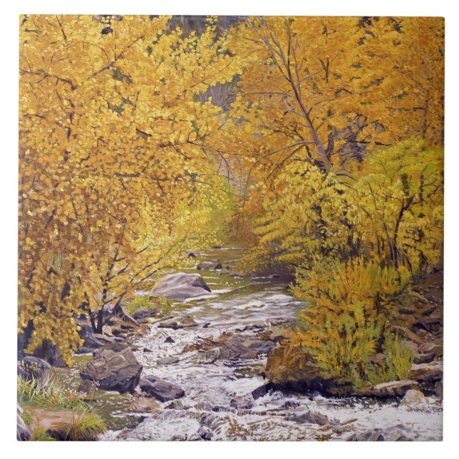 Colourful Autumn Aspen Trees in Morrison Colorado Tile (Front)