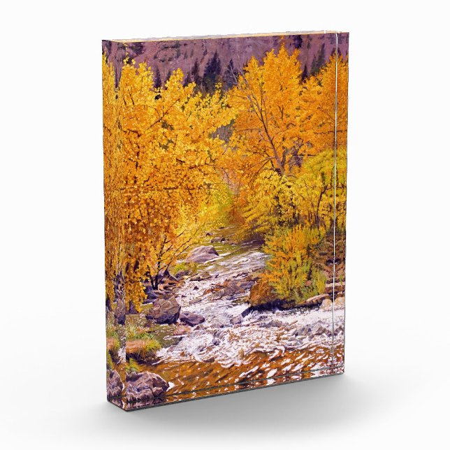 Colourful Autumn Aspens in Colorado Photo Block (Left)