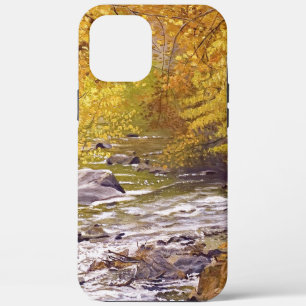 Colourful Autumn Aspens in Morrison Colorado iPhone 12 Pro Max Case