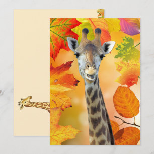 Colourful Autumn / Fall Giraffe 