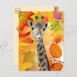 Colourful Autumn / Fall Giraffe Postcard