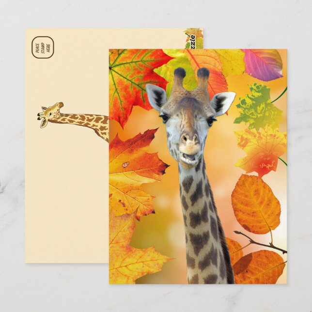 Colourful Autumn / Fall Giraffe  Postcard (Front/Back)