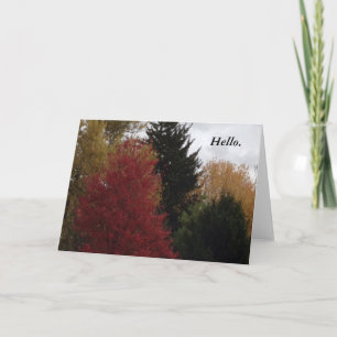 Colourful Autumn Fall Trees Hello Greeting Cards