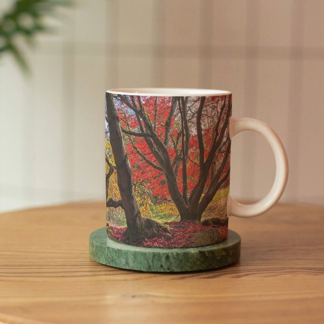 Colourful Autumn Leaves and Trees Landscape Coffee Mug (In Situ Coaster)