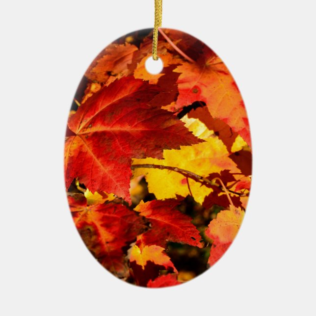 Colourful Autumn Leaves Ceramic Ornament (Front)