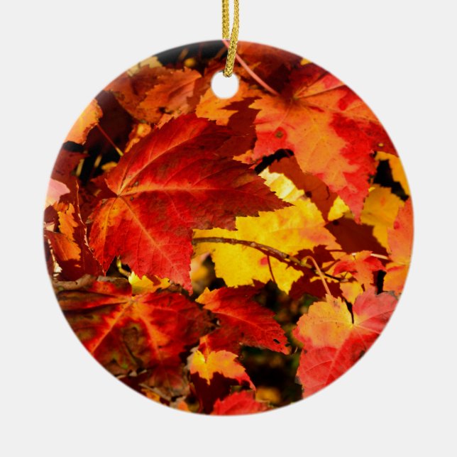 Colourful Autumn Leaves, gold red orange maple lea Ceramic Ornament (Front)