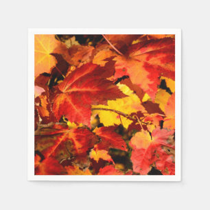 Colourful Autumn Leaves, gold red orange maple lea Napkin