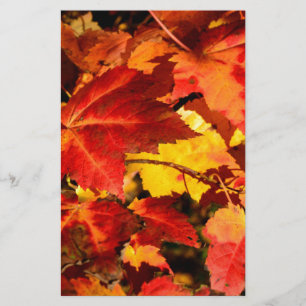 Colourful Autumn Leaves, gold red orange maple lea Stationery