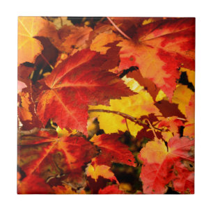 Colourful Autumn Leaves, gold red orange maple lea Tile
