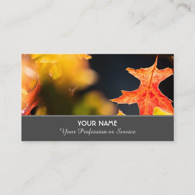 Colourful autumn leaves in golden sunset mood business card (Front)