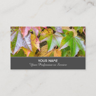 Colourful autumn leaves in indian summer business card