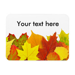 Colourful autumn leaves magnet