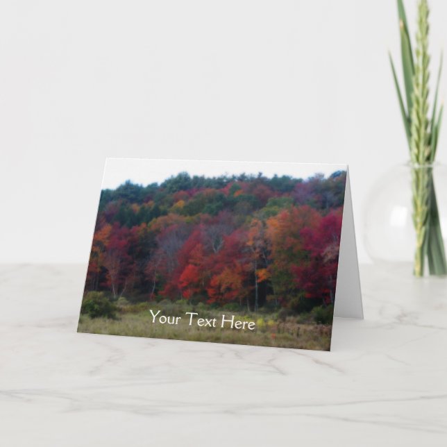 Colourful Autumn Leaves Nature Photo Card (Front)