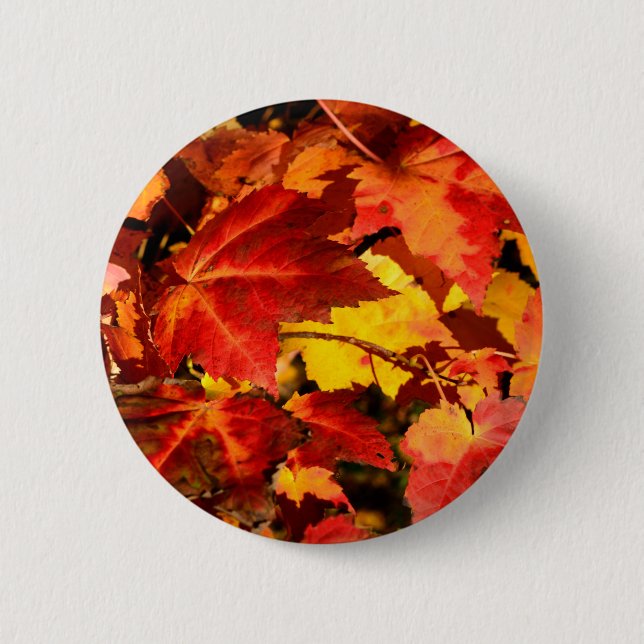 Colourful Autumn leaves orange red yellow colours 2 Inch Round Button (Front)