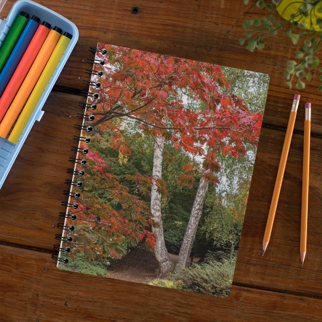 Colourful Autumn Leaves Photo Notebook (In Situ)