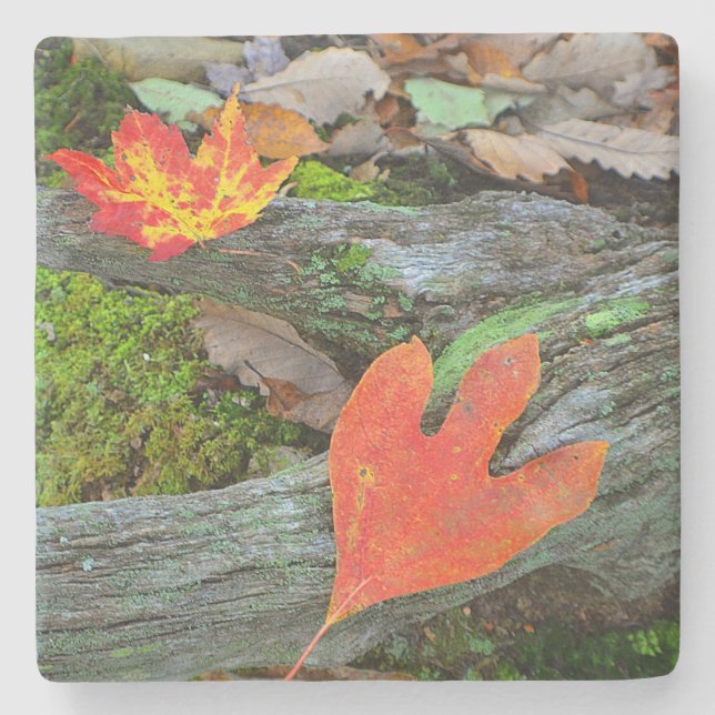 Colourful Autumn Leaves Stone Coaster (Front)