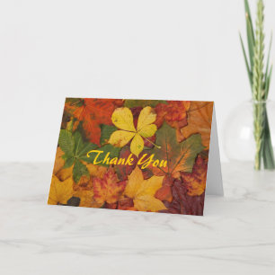 Colourful Autumn Leaves Thank You Note Card