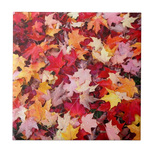 Colourful Autumn Leaves Tile (Front)
