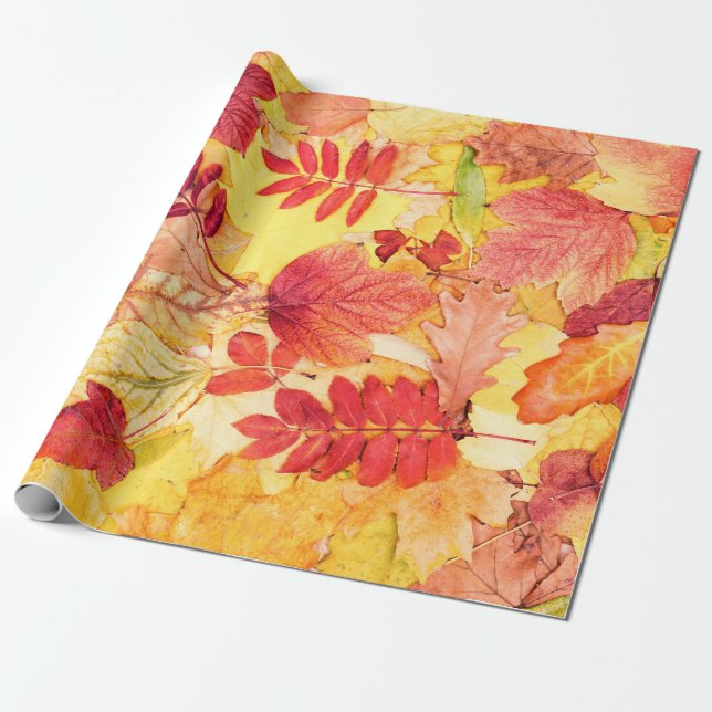 Colourful autumn leaves. Tree fallen leaf pattern. Wrapping Paper (Unrolled)