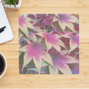 Colourful Autumn Maple Leaves Stone Coaster