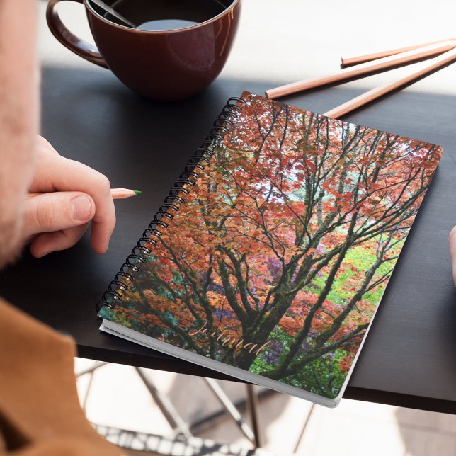 Colourful Autumn Maple Tree Notebook (In Situ)