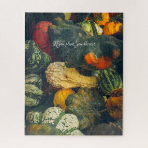  Colourful autumn squash and pumpkins Jigsaw Puzzle
