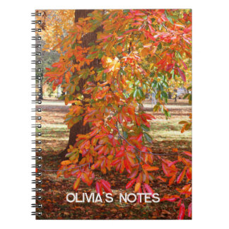 Colourful Autumn Tree Personalized Notebook