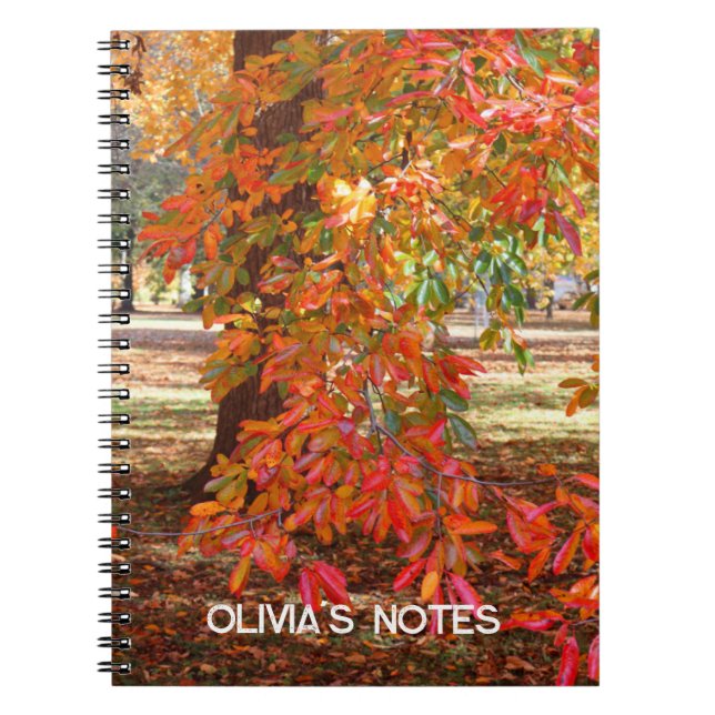 Colourful Autumn Tree Personalized Notebook (Front)
