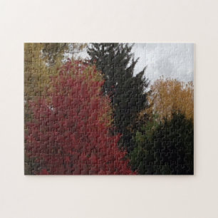 Colourful Autumn Trees Grey Sky Puzzles
