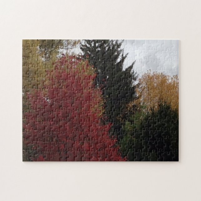 Colourful Autumn Trees Grey Sky Puzzles (Horizontal)