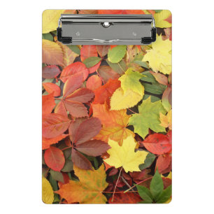 Colourful Background Of Fallen Autumn Leaves Mini Clipboard