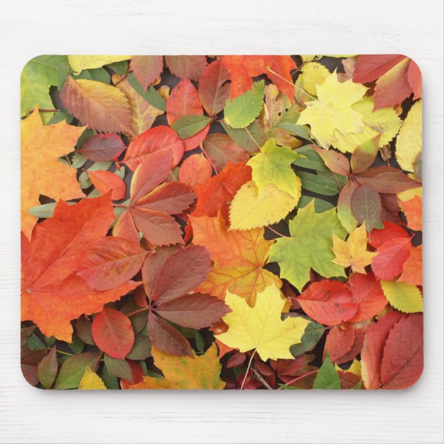 Colourful Background Of Fallen Autumn Leaves Mouse Pad (Front)