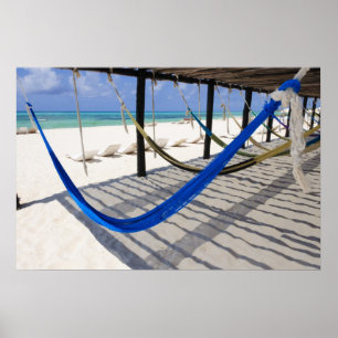 Colourful Beach Hammocks Cozumel Mexico Poster