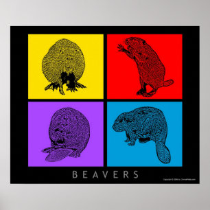 Colourful Beaver Poster