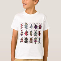 Colourful Beetles
