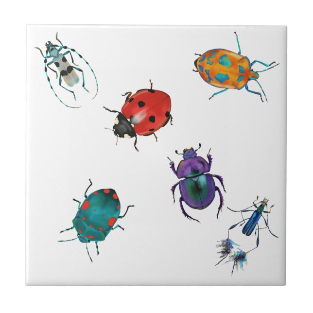 Colourful beetles  tile (Front)