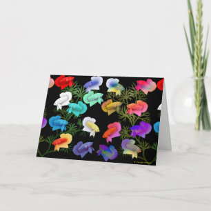 Colourful Betta Aquarium Fish Greeting Card