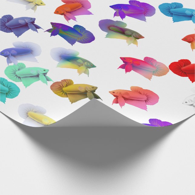 Colourful Betta Aquarium Fish Wrapping Paper (Corner)