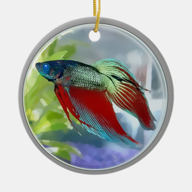 Colourful Betta Fish in a Bubble Ceramic Ornament (Front)