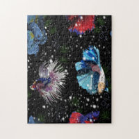 Colourful Betta Fish