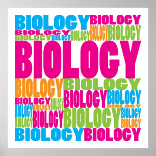 Colourful Biology Poster
