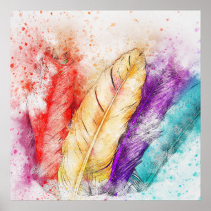 Colourful bird feathers poster