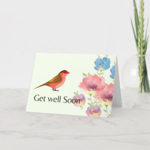 colourful bird holiday card