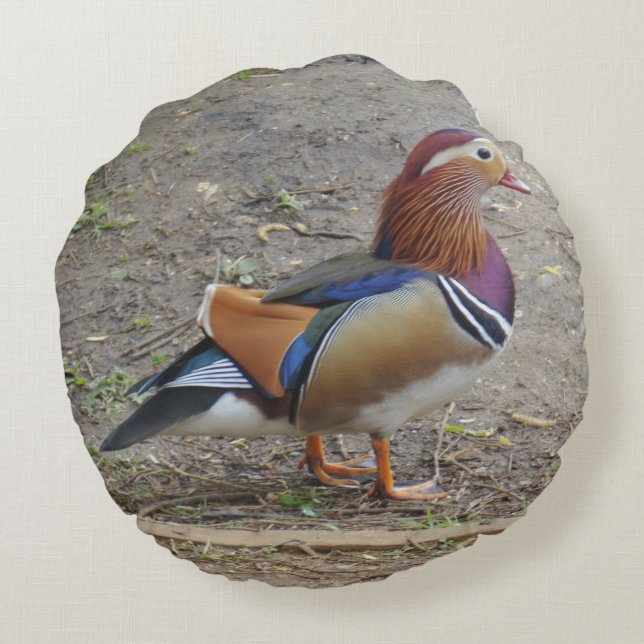 Colourful Bird Round Pillow (Back)