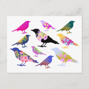 Colourful Birds Flowers Leaves Chic Floral Animal Postcard