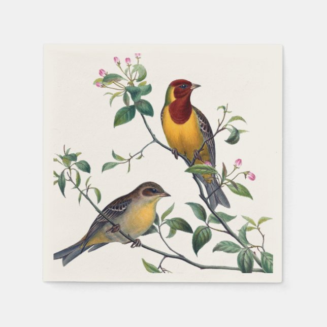Colourful Birds Napkins (Front)