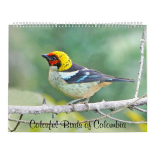 Colourful Birds of Colombia Calendar