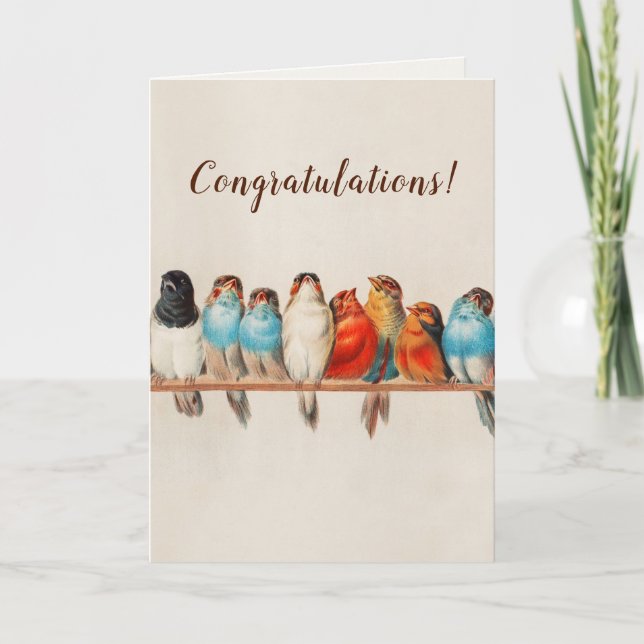 Colourful Birds on a Branch Congratulations  Card (Front)